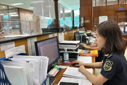Thu ngân sách từ xuất nhập khẩu 7 tháng tăng 9,1%. Ảnh minh họa