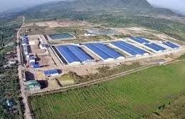 Ngày 7/5/2026, đấu giá quyền sử dụng đất tại xã Hòa Phú, tỉnh Đắk Lắk