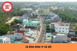 Ngày 21/3/2026, đấu giá 4 quyền sử dụng đất tại xã Bình Minh, thành phố Hà Nội