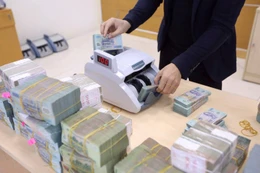Hà Nội dự kiến bố trí hơn 1.000 tỷ đồng triển khai chương trình khuyến nông giai đoạn 2026 - 2030. Ảnh minh họa