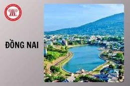 Ngày 26/1/2026, đấu giá quyền sử dụng đất tại xã Xuân Đông, tỉnh Đồng Nai