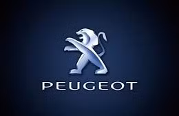 Ngày 28/5/2026, đấu giá xe ô tô PEUGEOT của MBAMC-ĐNB