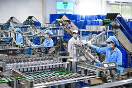 Sửa đổi các quy định nhằm hỗ trợ doanh nghiệp tiếp cận đất đai, lãi suất vay...