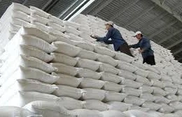 Ngày 26/3/2026, đấu giá 2.165.704,6 kg gạo nhập kho của Chi cục Dự trữ Nhà nước Khu vực I