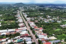 Ngày 9/3/2026, đấu giá quyền sử dụng đất tại xã Xuân Đông, tỉnh Đồng Nai