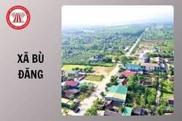 Ngày 6/4/2026, đấu giá quyền sử dụng đất tại xã Thiện Hưng, tỉnh Đồng Nai