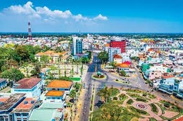 Ngày 24/7/2025, đấu giá Lô hàng bị tổn thất tại TP. Hà Nội