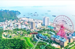 Ngày 31/7/2025, đấu giá quyền sử dụng đất tại phường Bãi Cháy, tỉnh Quảng Ninh