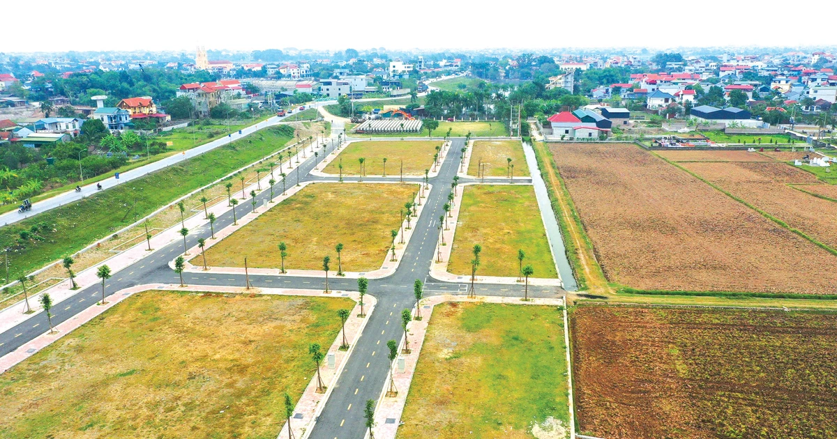m.baodauthau.vn