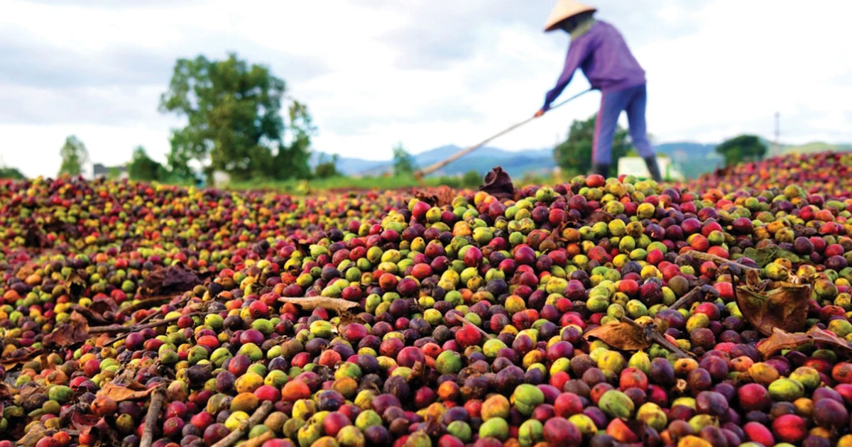 Đơn giản hóa, rút ngắn thủ tục hoàn thuế