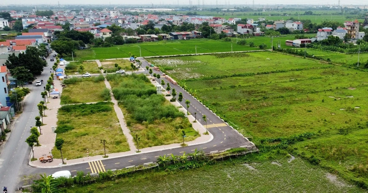 m.baodauthau.vn