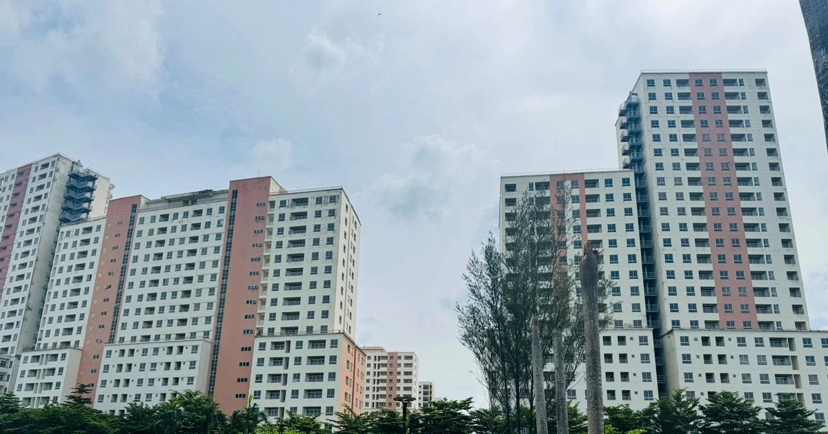 baodauthau.vn