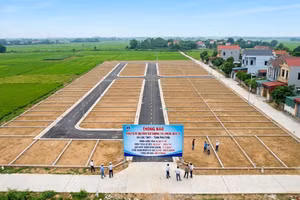 Đấu giá 73 thửa đất ở đô thị tại xã Lạc Thủy (Phú Thọ). Ảnh minh họa tạo bởi AI