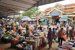 Đấu giá quyền cho thuê diện tích bán hàng tại chợ Bình Định và chợ An Thái (Gia Lai). Ảnh minh họa: Internet