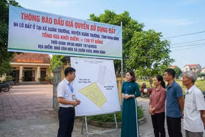 Đấu giá quyền sử dụng 94 lô đất ở tại xã Xuân Trường (Ninh Bình). Ảnh minh họa tạo bởi AI