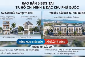 Vietinbank rao bán 6 bất động sản tại Thành phố Hồ Chí Minh và đặc khu Phú Quốc. Ảnh minh họa: AI