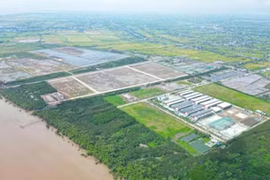 Đồng Tháp đấu giá cho thuê hơn 2,8 triệu m² đất dự án Khu công nghiệp Dịch vụ dầu khí Soài Rạp. Ảnh minh họa: Internet