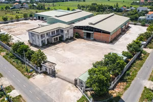 Đấu giá cơ sở sản xuất kinh doanh xã Bình Hòa (An Giang). Ảnh minh họa tạo bởi AI