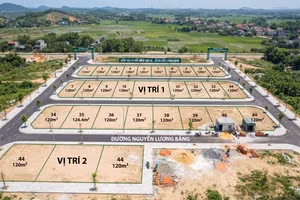 Đấu giá 44 lô đất tại điểm dân cư mới Đồng Con Cá, xã Nguyễn Lương Bằng (Hải Phòng). Ảnh minh họa AI tạo