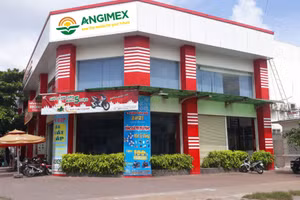 Đấu giá quyền sử dụng đất và công trình máy móc thiết bị của Công ty Xuất nhập khẩu An Giang. Ảnh minh họa: Internet