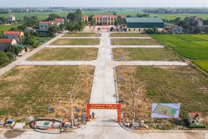 Đấu giá 31 suất đất ở tại xã Đức Hợp, tỉnh Hưng Yên. Ảnh minh họa tạo bởi AI