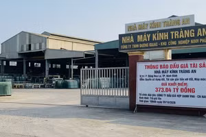 Ninh Bình đấu giá tài sản Nhà máy kính Tràng An với giá khởi điểm hơn 373 tỷ đồng. Ảnh minh họa: Ai tạo