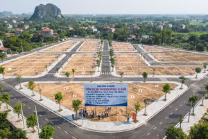 Ninh Bình đấu giá quyền sử dụng 80 lô đất tại khu dân cư Đông Phong - Địch Lễ. Ảnh minh họa: Ai tạo