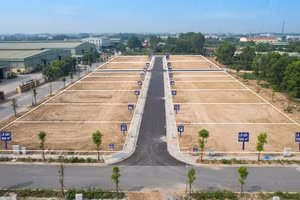 Đấu giá cho thuê 14 lô đất tại cụm công nghiệp Làng Nghề, xã Xuân Lãng (Phú Thọ). Ảnh minh họa: Ai tạo