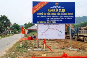 Ảnh minh hoạ AI