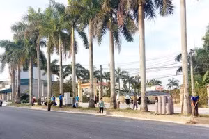 Công ty Giao thông Thủy lợi Tân Hạnh trúng gói thầu nâng cấp đường khu phố Tiến Thọ (Thanh Hóa)