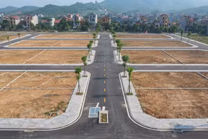 Đấu giá 38 thửa đất tại phường Yên Bái (tỉnh Lào Cai). Ảnh minh họa: Internet