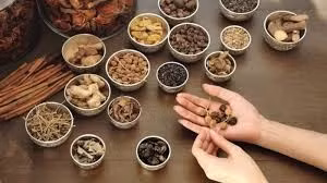 Đề xuất loại 653 thuốc y học cổ truyền ra khỏi Danh mục thuốc bảo hiểm y tế