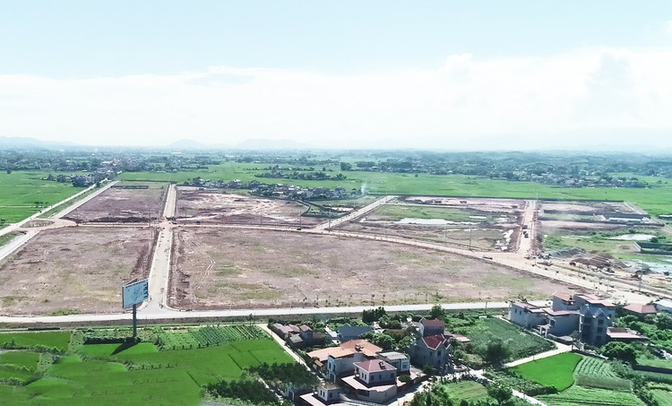 Ảnh minh hoạ: Internet