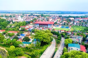 Ảnh minh họa internet