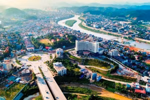 Lào Cai tăng cường quản lý nhà nước và giám sát hoạt động đấu giá tài sản. Ảnh minh họa: Intrenet