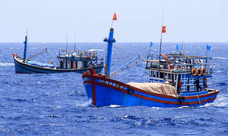 Tàu cá Việt Nam hoạt động trên ngư trường Hoàng Sa