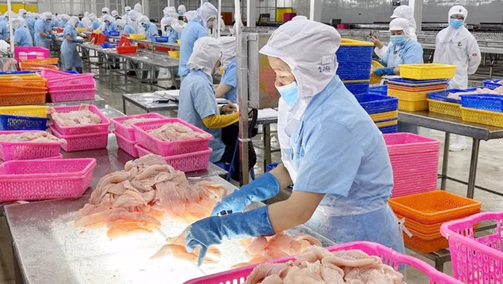 Cá tra Việt Nam xuất khẩu tăng trưởng 2 tháng đầu năm 2024 Cá tra Việt Nam xuất khẩu tăng trưởng 2 tháng đầu năm 2024