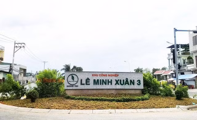 Thanh tra TP.HCM đã chỉ ra những sai phạm trong quá trình thực hiện một số dự án trên phần đất mà Công ty Cây trồng TP đã bàn giao như dự án Khu công nghiệp Lê Minh Xuân 3