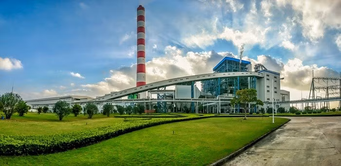 Công tác xanh hóa cũng được công ty đặc biệt chú trọng, thực hiện định kỳ hàng năm.