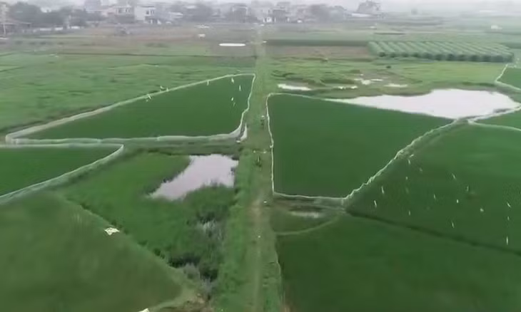 Thanh tra Bộ Tài nguyên và Môi trường đề nghị UBND tỉnh Thái Nguyên kiểm tra đối với Dự án Khu nhà ở Thăng Long tại phường Túc Duyên (TP.Thái Nguyên) sau phản ánh đất chưa "sạch" đã bán đấu giá. Được biết, hiện nay khu đất dự án vẫn là cánh đồng trồng lúa.