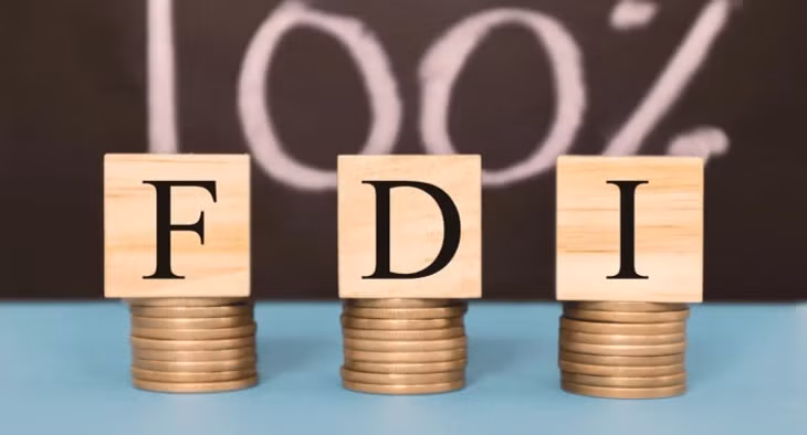 Hơn một nửa doanh nghiệp FDI báo lỗ năm 2023. Ảnh minh họa