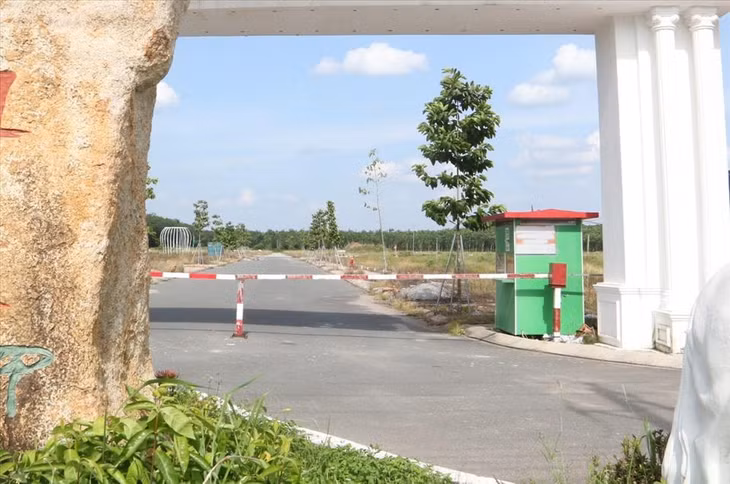 Theo Công an tỉnh Bình Dương, vào đầu năm 2018, Công ty TNHH Địa ốc Tường Hy Quân do Châu Minh Sơn là đại diện pháp luật và Lô Thị Loan - làm Giám đốc đã lập dự án Khu dân cư Chánh Phú Hòa trên 13 thửa đất của người khác với tổng diện tích hơn 6,4ha. Dù chưa đầy đủ các thủ tục pháp lý nhưng Công ty TNHH Địa ốc Tường Hy Quân vẫn ký Hợp đồng môi giới độc quyền 300 nền đất thuộc Dự án Chánh Phú Hòa với Công ty Đất Việt.
