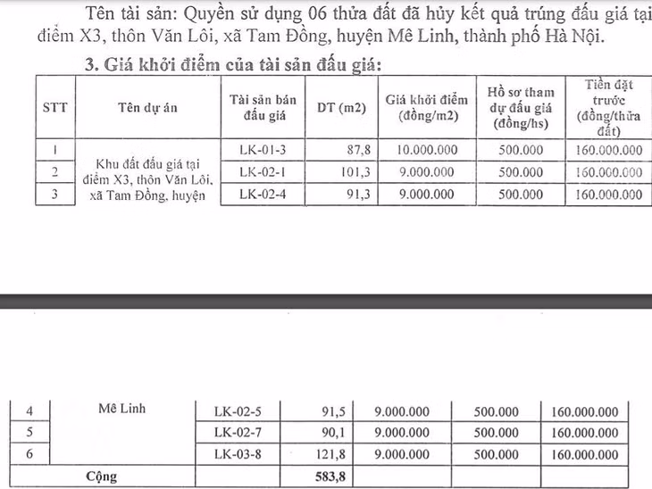 6 lô đất liền kề đã hủy kết quả trúng đấu giá tại điểm X3, thôn Văn Lôi (xã Tam Đồng, huyện Mê Linh) sắp tới được tổ chức đấu giá lại.