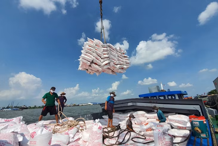 Giá gạo xuất khẩu của Việt Nam giảm 15 USD/tấn
