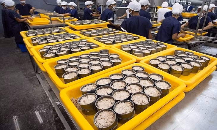 Cá ngừ đóng hộp xuất khẩu sang Hàn Quốc tăng gần 500%
