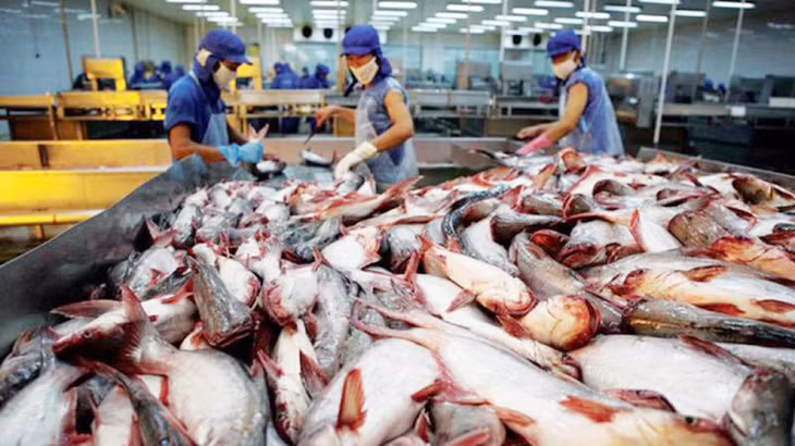 Việt Nam là nhà cung cấp cá thịt trắng lớn thứ hai cho Mỹ