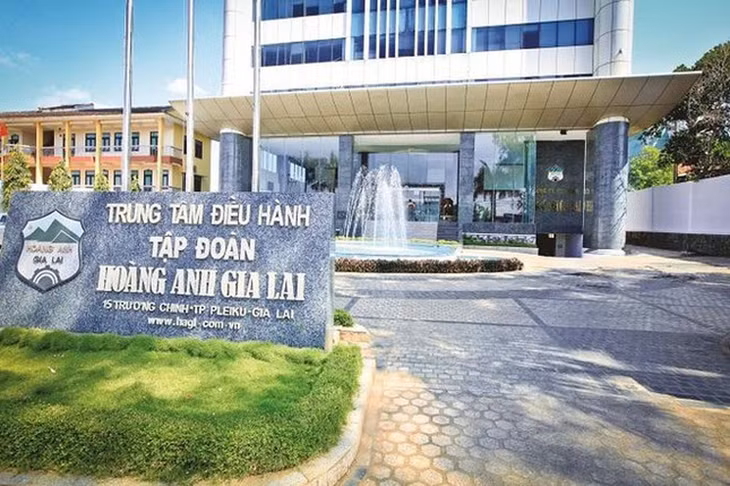 Công ty CP Hoàng Anh Gia Lai bị phạt và truy thu thuế gần 1 tỷ đồng. Ảnh minh họa