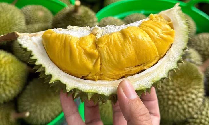 Sầu riêng tại nhà vườn ở Cần Thơ Sầu riêng tại nhà vườn ở Cần Thơ