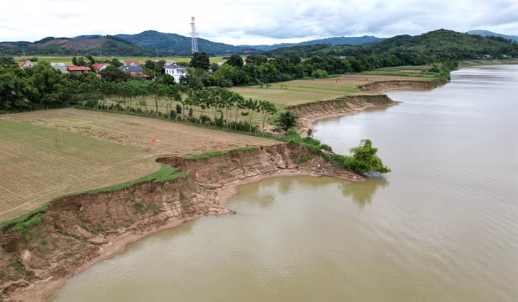 Tháng 8 - 9/2023 là giai đoạn bờ tả sông Mã ở xã Vĩnh Hòa (Vĩnh Lộc , Thanh Hóa) sạt lở mạnh nhất trong 5 năm qua Tháng 8 - 9/2023 là giai đoạn bờ tả sông Mã ở xã Vĩnh Hòa (Vĩnh Lộc , Thanh Hóa) sạt lở mạnh nhất trong 5 năm qua