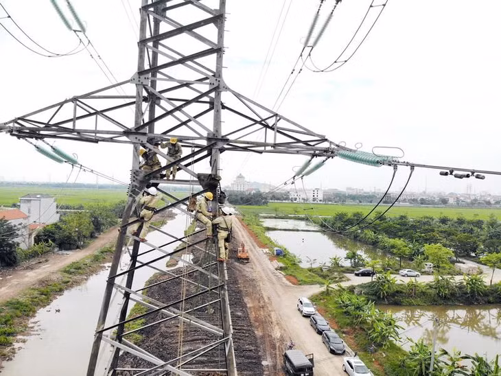 Công nhân đội truyền tải điện TP Nam Định thực hiện ốp gỗ lót xà chằng néo cột VT12